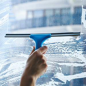 Window Cleaning