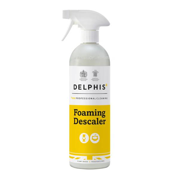 Delphis-Foaming-Descaler-