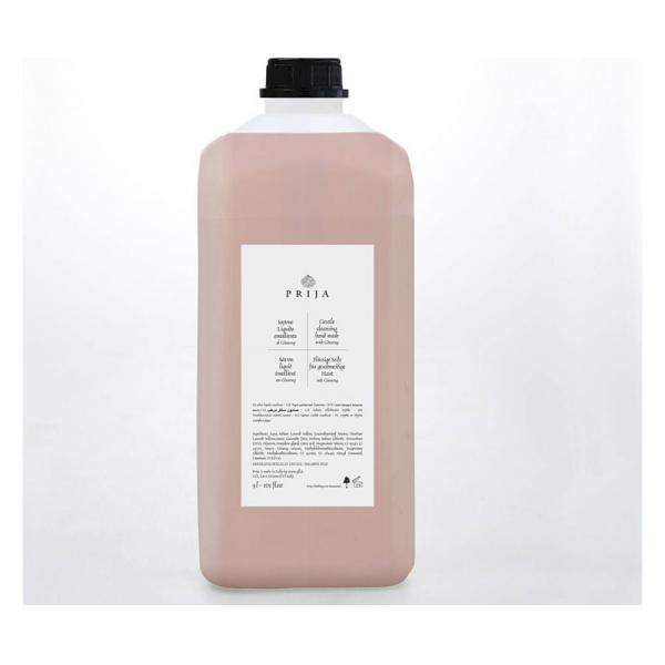 Prija Ginseng Hand Wash 5L
