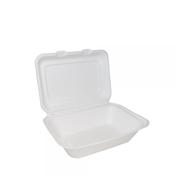 7-x-5--Bagasse-Clamshell-Box