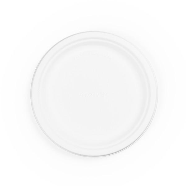 9--Bagasse-Plate-