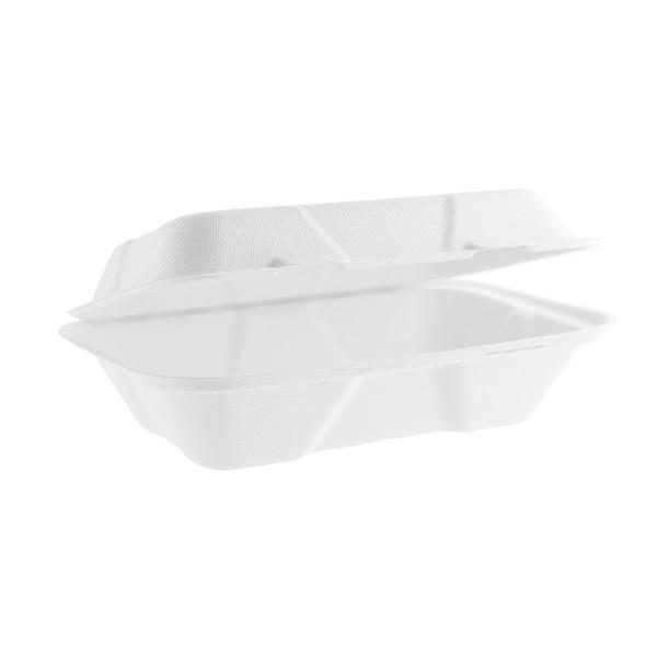 9-x-6--Bagasse-Clamshell-Box-