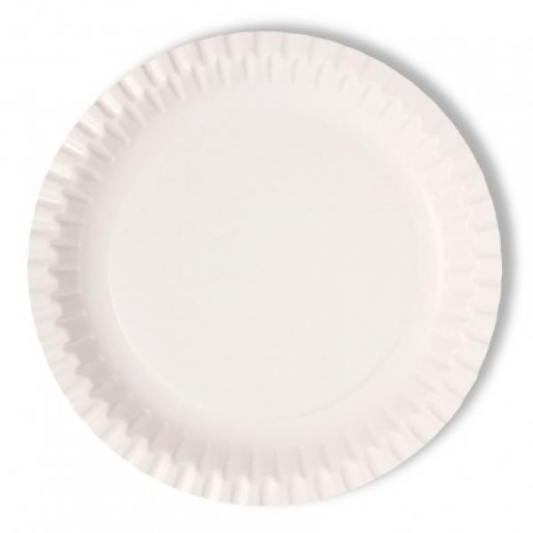Disposable-Paper-Plates-7--